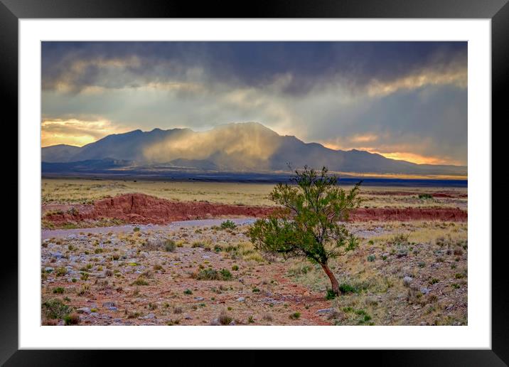 Approaching Storm at Sunset Framed Mounted Print by Luc Novovitch