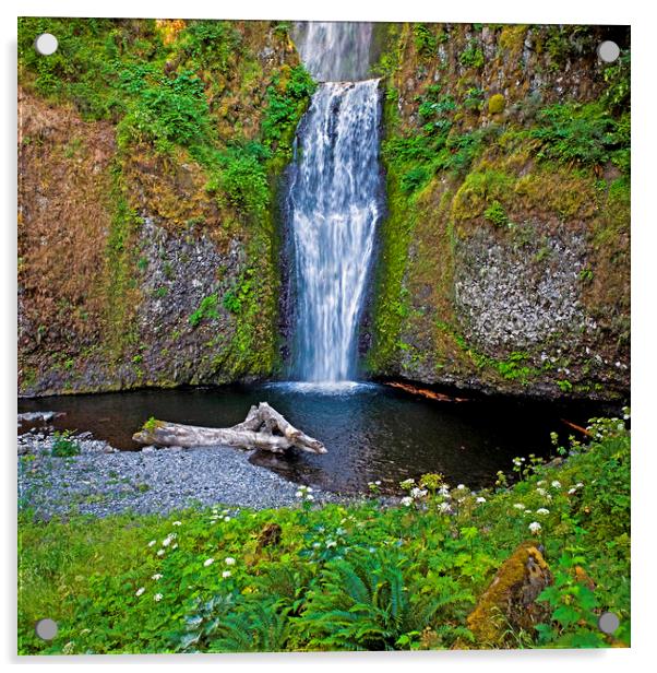 Oregon Multnomah Falls Acrylic by Luc Novovitch