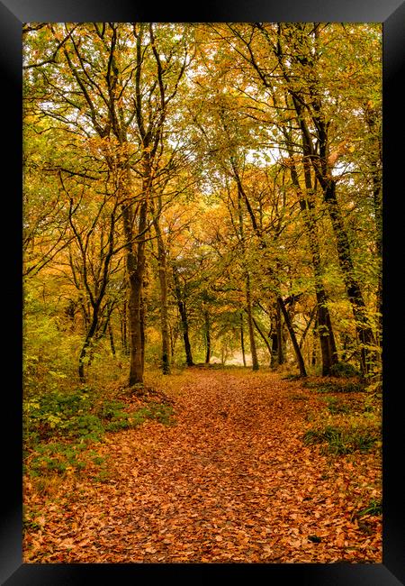 Autumn colors Oct. 2016 River Annan Framed Print by Hugh McKean