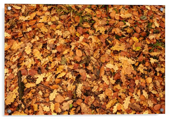Autumn leaves Oct. 2016 River Annan Acrylic by Hugh McKean