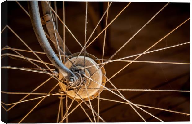 Bicycle Wheel Canvas Print by David Belcher