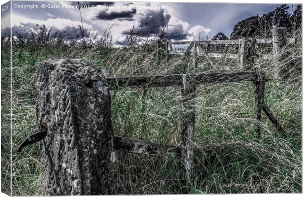 Old Gate Canvas Print by Colin Keown