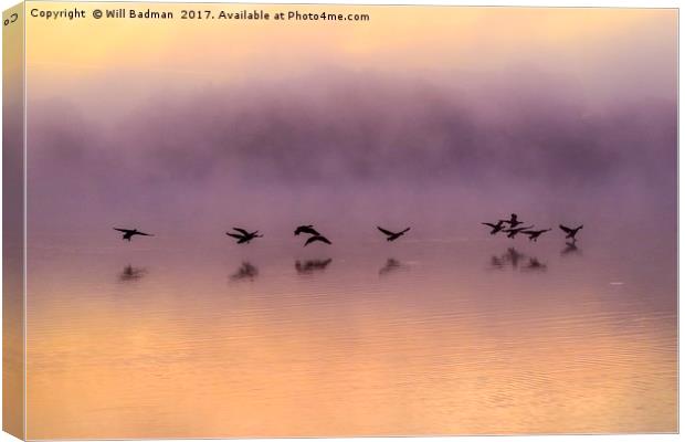 Canadian Geese flying over misty sunrise reservoir Canvas Print by Will Badman