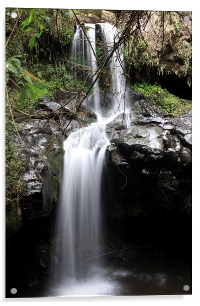 Bale Mountain Waterfall, Ethiopia  Acrylic by Aidan Moran