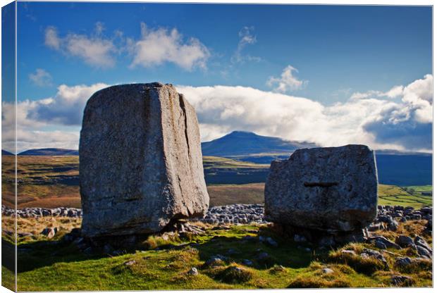 The Cheese Press Stones Canvas Print by David McCulloch
