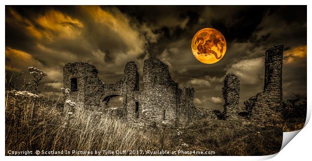 Castle of The Dragon Print by Tylie Duff Photo Art