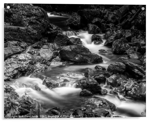 Lodore Falls, Derwnent Water Acrylic by Richard Jones