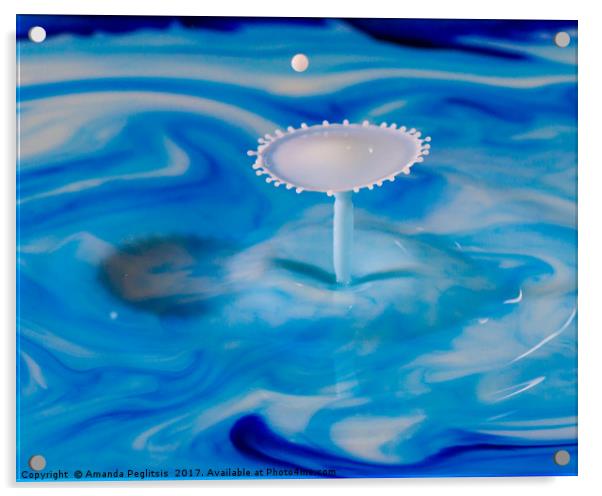 milk splash Acrylic by Amanda Peglitsis