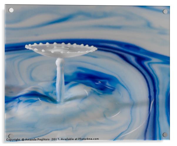 milk drops colliding Acrylic by Amanda Peglitsis
