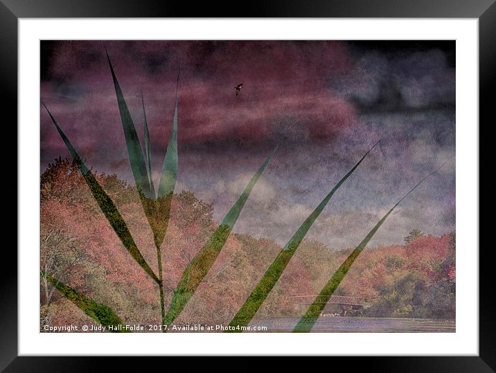 In the Distance is the Season Framed Mounted Print by Judy Hall-Folde