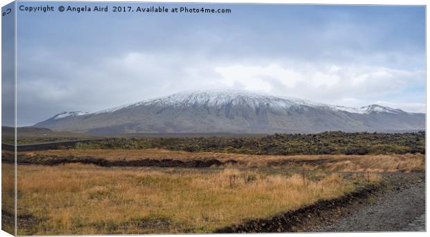  Snowcapped. Canvas Print by Angela Aird