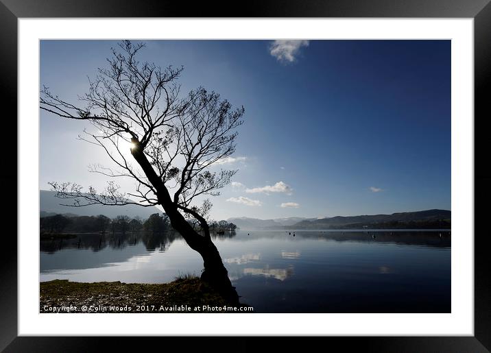 Trees by Ullswater in the Lake District Framed Mounted Print by Colin Woods
