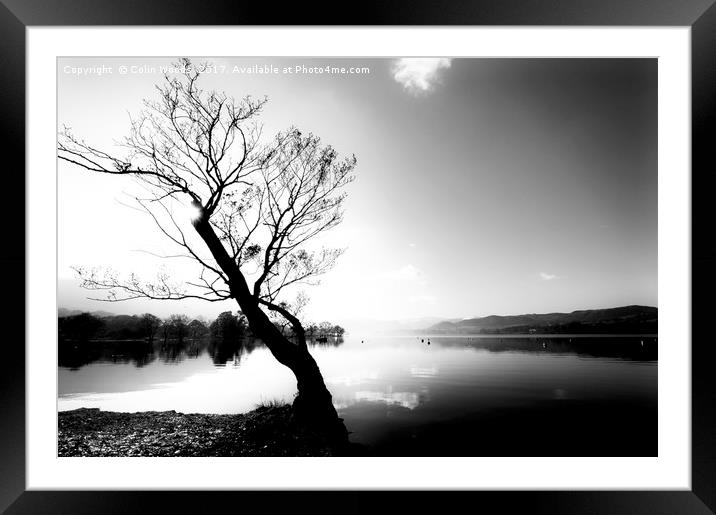 Trees by Ullswater in the Lake District Framed Mounted Print by Colin Woods