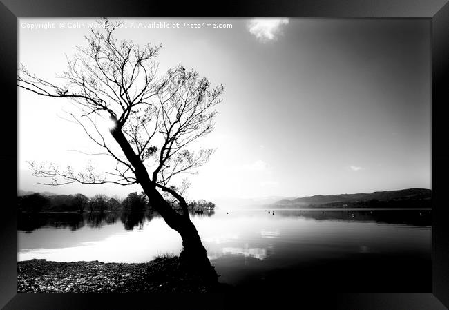 Trees by Ullswater in the Lake District Framed Print by Colin Woods