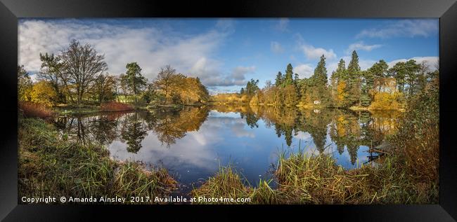 Lartington Low Pond in Autumn Splendour Framed Print by AMANDA AINSLEY