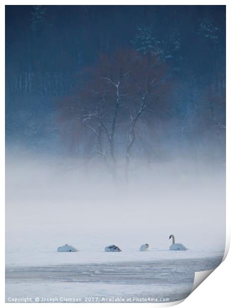 Swan Lake in Winter Print by Joseph Clemson