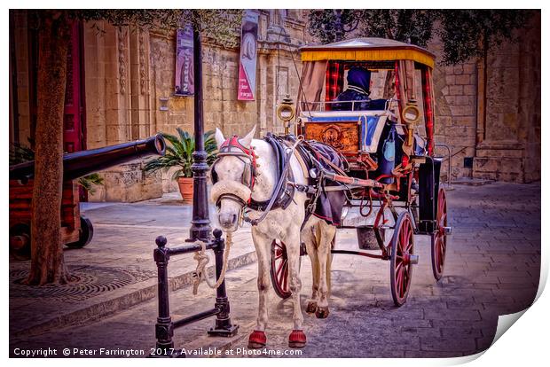 Travel In Malta Is Very Chilled. Print by Peter Farrington