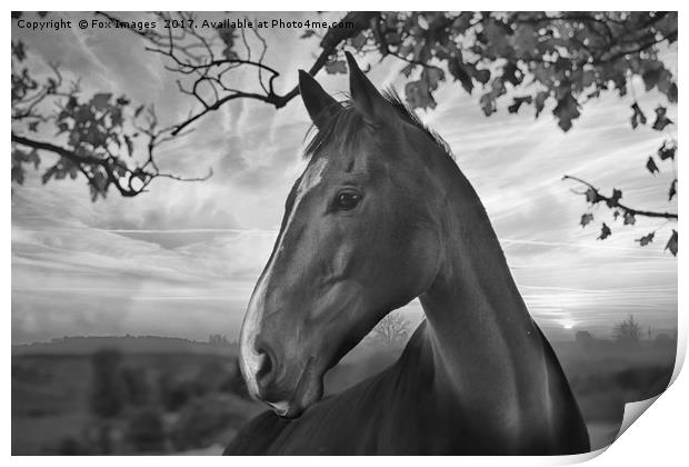 Horse and countryside Print by Derrick Fox Lomax