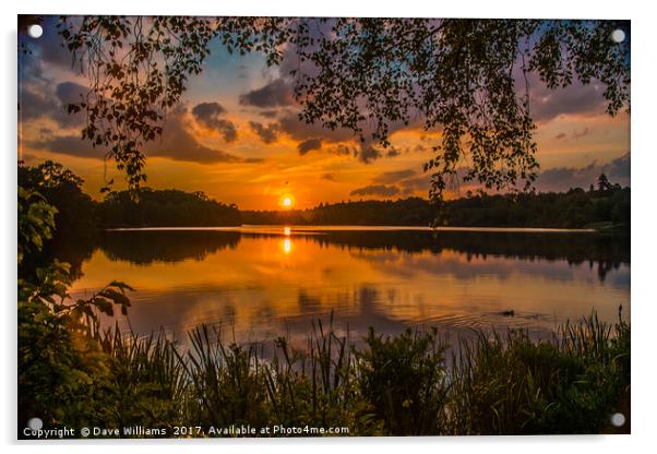 Sunset at Virginia Water Lake Acrylic by Dave Williams