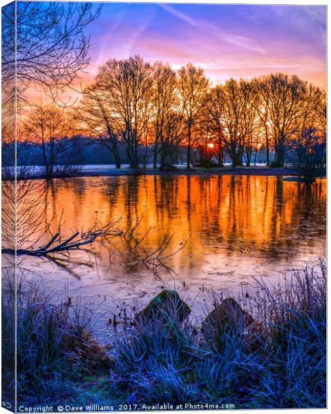 Sunrise at Yateley Green Pond, Yateley, Hampshire Canvas Print by Dave Williams