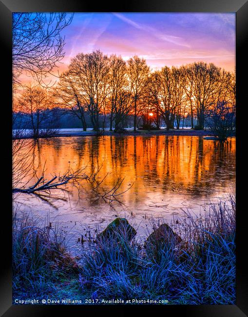 Sunrise at Yateley Green Pond, Yateley, Hampshire Framed Print by Dave Williams