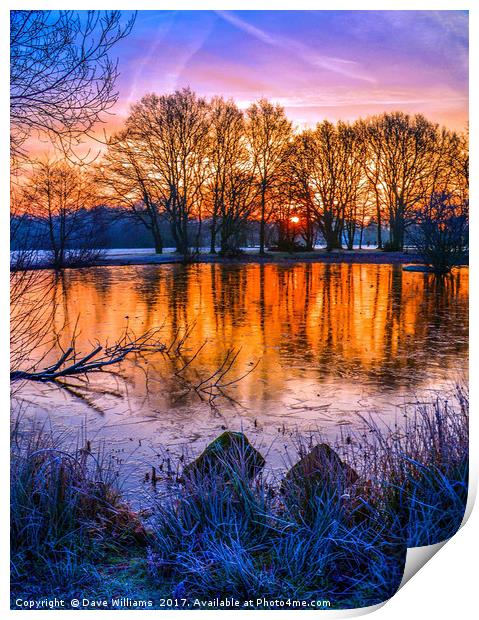 Sunrise at Yateley Green Pond, Yateley, Hampshire Print by Dave Williams