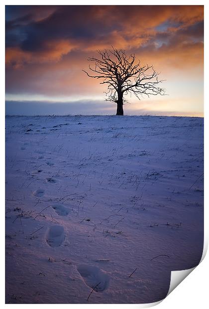 First snow of Winter... Print by David Mould