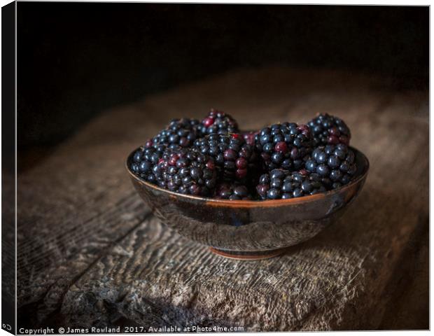 Blackberries in a Bowl Canvas Print by James Rowland