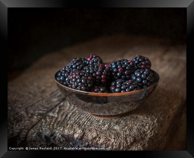 Blackberries in a Bowl Framed Print by James Rowland