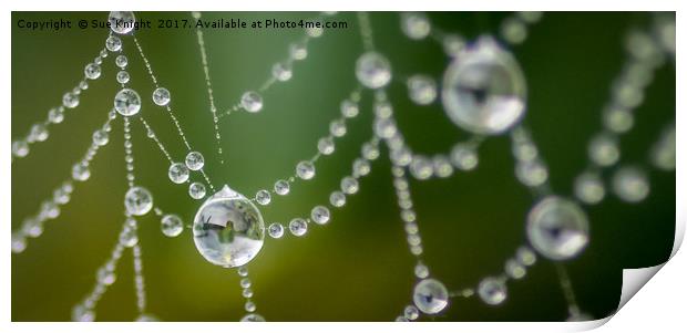 Morning dew on a cobweb Print by Sue Knight