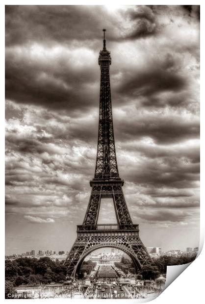 The Eiffel Tower in Paris Print by Colin Woods