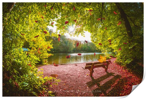 Autumn leaves falling at Hartsholme Park, Lincoln Print by Andrew Scott