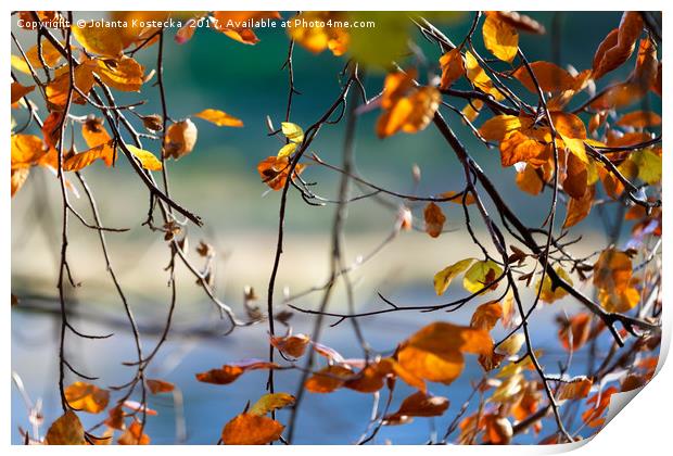 Autumn leaves Print by Jolanta Kostecka