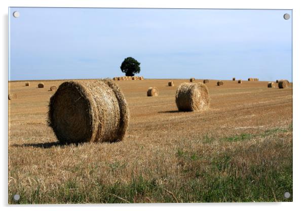  Rural French Landscape  Acrylic by Aidan Moran