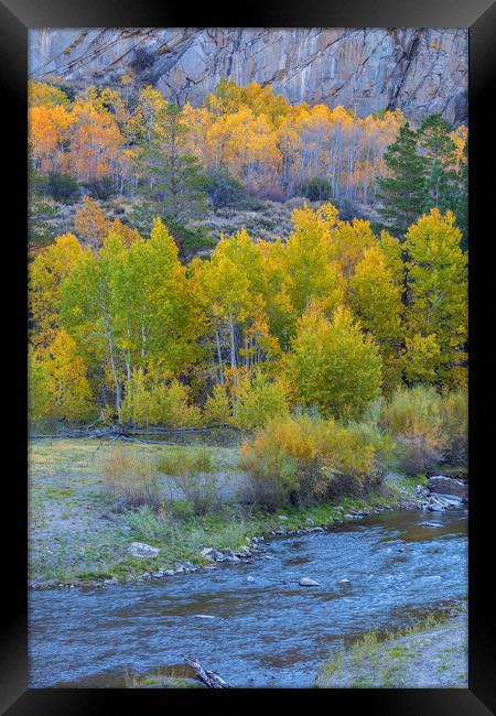 Season Of Colours 1 Framed Print by jonathan nguyen