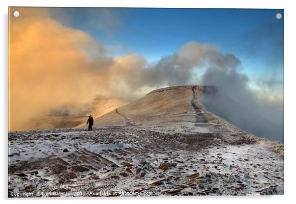 Lone Walker Brecon Beacons Acrylic by Neil Holman