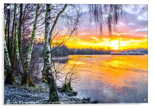 Horseshoe Lake Sunrise, Sandhurst, Berkshire Acrylic by Dave Williams