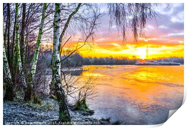 Horseshoe Lake Sunrise, Sandhurst, Berkshire Print by Dave Williams