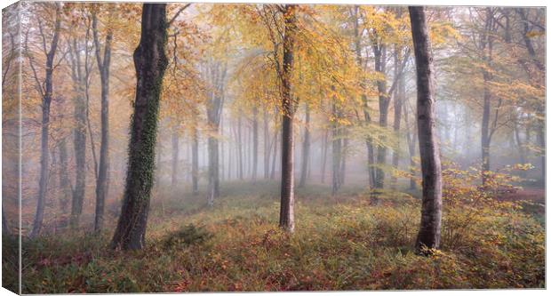 Autumnal Hooke Canvas Print by Chris Frost