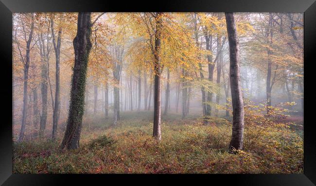 Autumnal Hooke Framed Print by Chris Frost