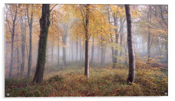 Autumnal Hooke Acrylic by Chris Frost