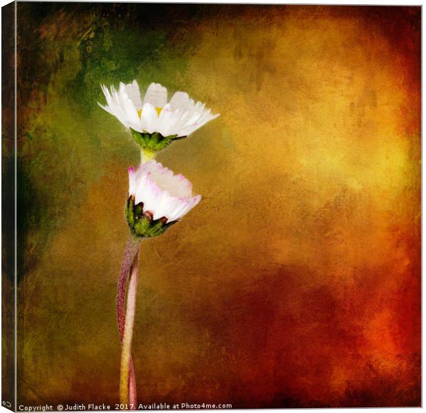 Togetherness.  Canvas Print by Judith Flacke