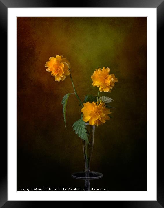 Kerria japonica still life in vase Framed Mounted Print by Judith Flacke