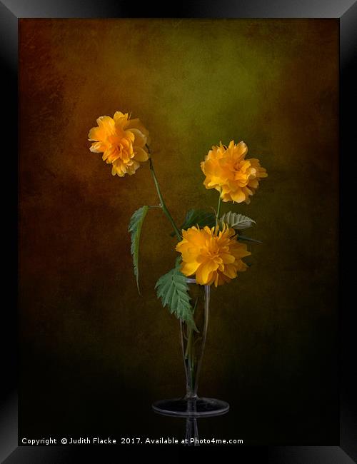 Kerria japonica still life in vase Framed Print by Judith Flacke