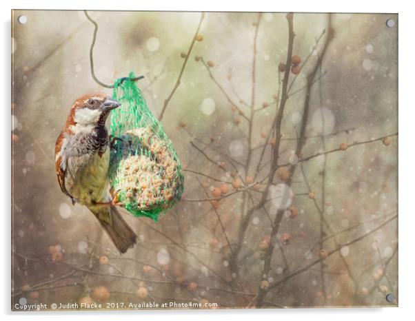 Snow sparrow. Acrylic by Judith Flacke