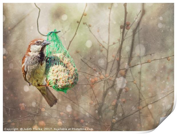 Snow sparrow. Print by Judith Flacke