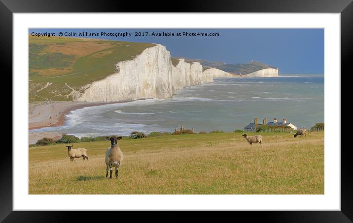  Sheep and the Seven Sisters 2 Framed Mounted Print by Colin Williams Photography