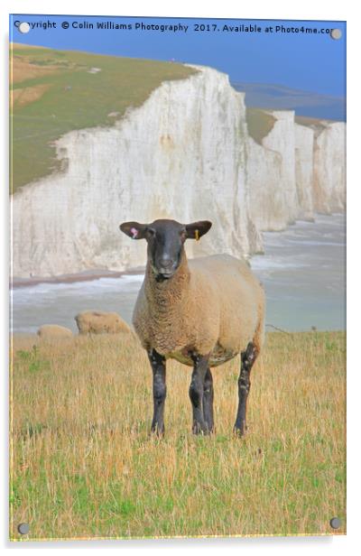  Sheep and the Seven Sisters 3 Acrylic by Colin Williams Photography