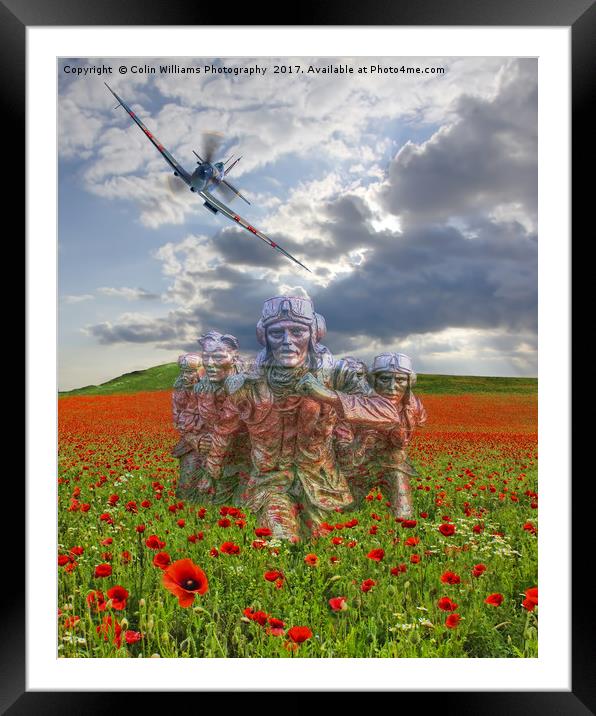 We Salute The Few Framed Mounted Print by Colin Williams Photography