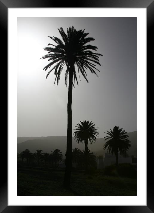 Lonesome Palm Framed Mounted Print by Kevin McNeil